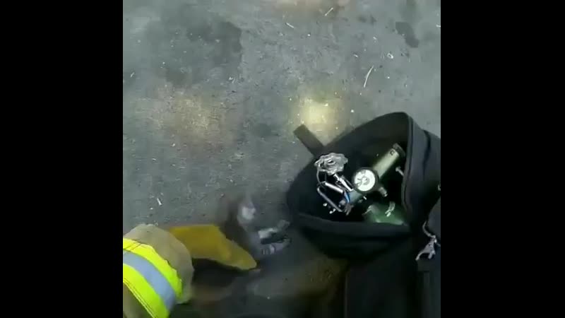 Спасение котенка