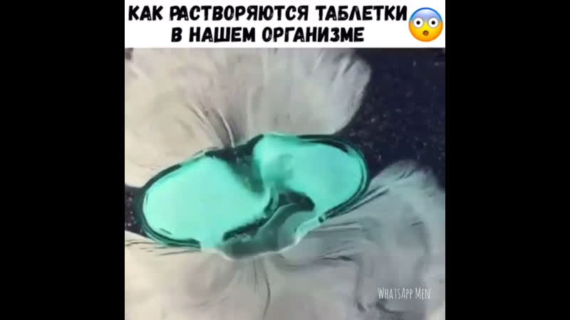 Как растворяются таблетки в нашем организме