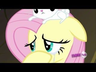 My little pony friendship is magic s02e22 hurricane fluttershy