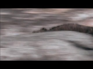 Галапагосы с дэвидом аттенборо 3 серия эволюция / galapagos with david attenborough (2013)