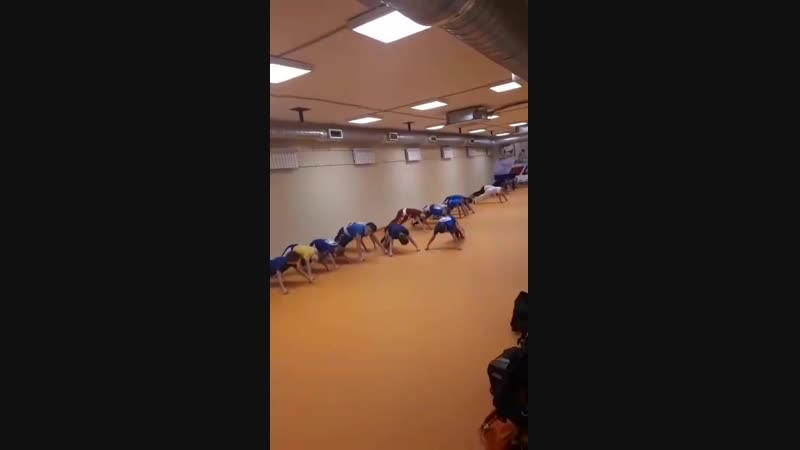 Усталости нет