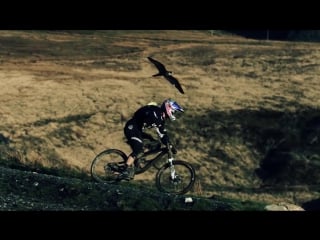 Gee atherton gets hunted by a peregrine falcon