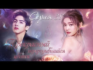 [fsg fireflame] прекрасный переродившийся цветок (beautiful reborn flower) 38 серия (субтитры)