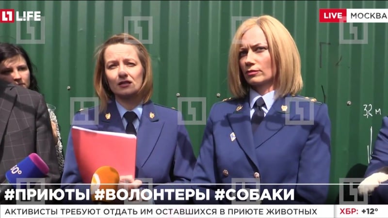Прокуроры разрешили зоозащитникам и представителям прессы пройти на территорию приюта для молодые "эко вешняки"