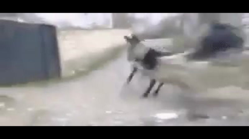 Эрон дон дон