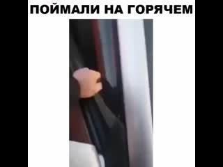 Video zhest 20200503 100451 0 mp4