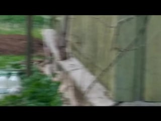 Vid 20170518 202027(0) mp4