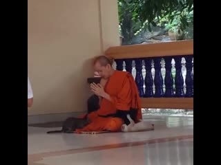 Ripsave thai buddhist monk i will keep praying mp4