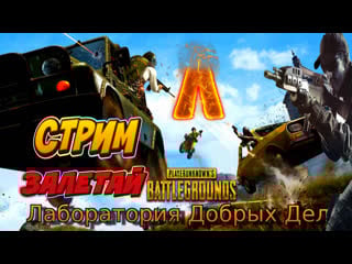 Shmel shmelev live via