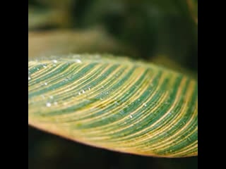 Peering in from the edge at niagara falls is awe inspiring, yet there's another way to absorb their immense power on the water