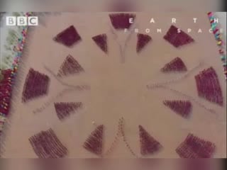 Тренироа монахов шао линя завораживает!