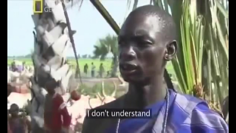 Порно видео африканская дикая африка