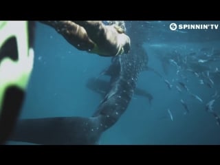 Tavi castro jordan feat chasing cities so serious