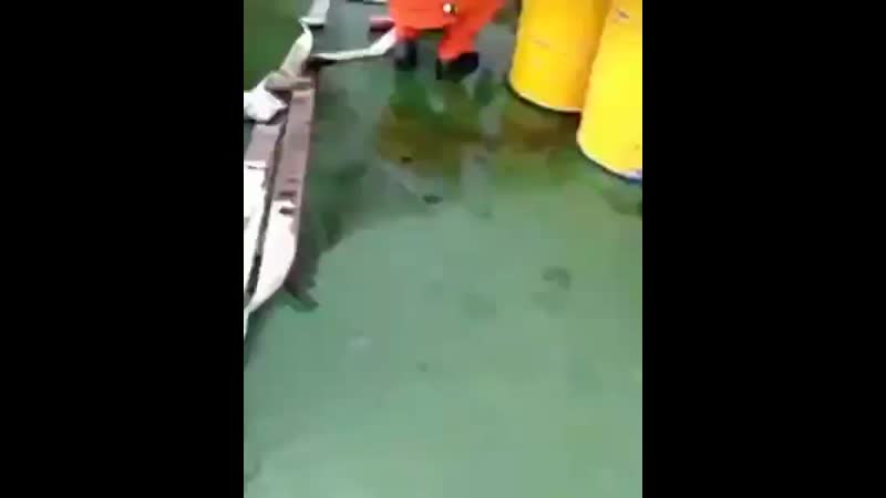 In a viral video fire onboard a tanker ship, half of the crew fighting with fir ( 600 x 480 ) mp4