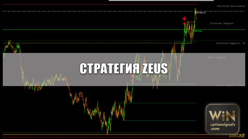 Стратегия zeus для бинарных опционов