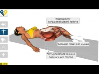 Sls растяжка поясницы с вращением колен