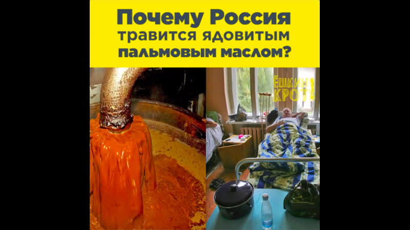 Кто травит россию пальмовым маслом?