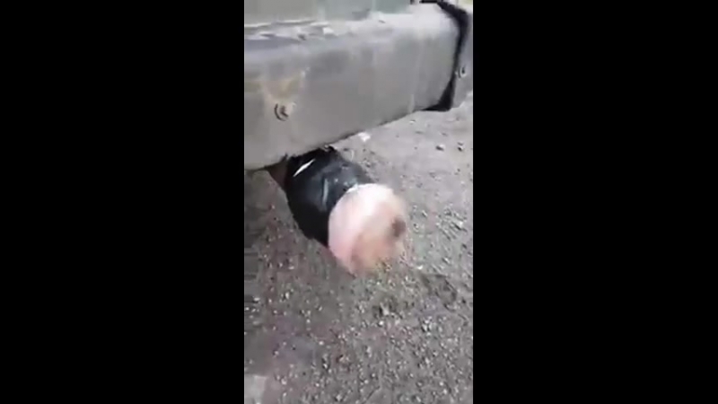 Пиздатый выхлоп