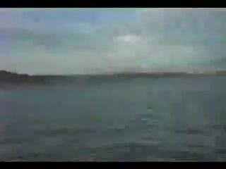 Pamela anderson & tomy lee