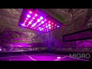 Mars 48 reflector grow light par test and review