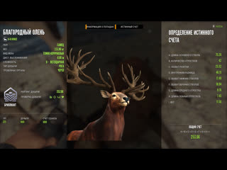 Благородный олень бриллиант thehunter call of the wild 2022 11 08 23 25 06 03