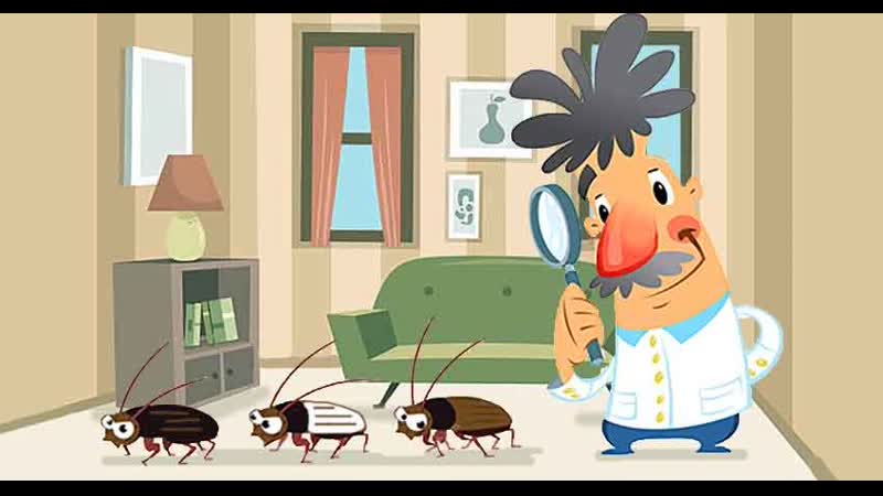 Околорадский таракан секс для страны с низкой социальной ответственностью