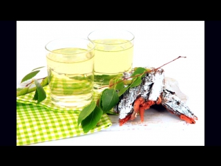 Я в весеннем лесу!!! м ножкин