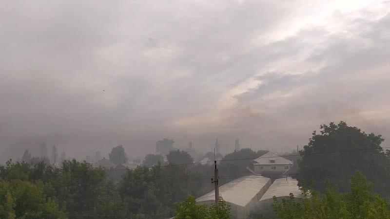 Саранча в станице луганской