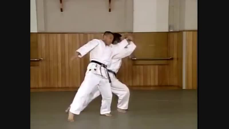 Katate mochi shiho nage ni
