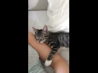 First day in my new home and already settled in nicely