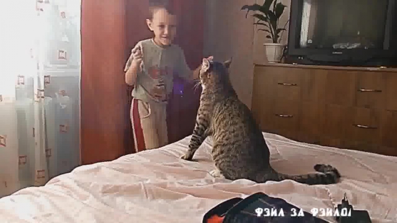 Кот отпиздил мелкого доигрался ебаный в рот