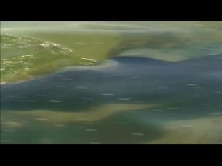 Bbc морские гиганты / bbc ocean giants (2011) часть 2 / part 2 мудрецы глубин / deep thinkers