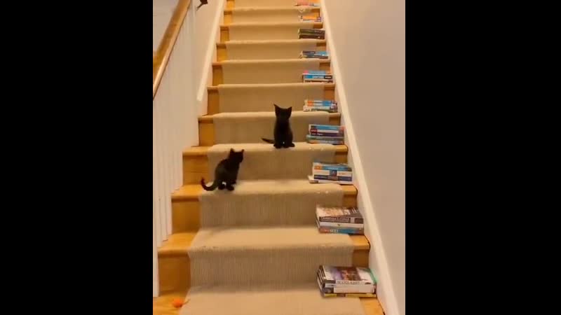 Thеy arе tоо small fоr stairs
