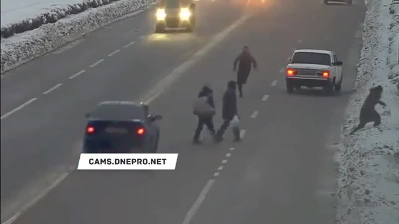 Отпиздил тупых баб