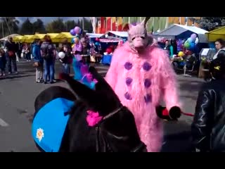 Свиное родео pig rodeo свинья мечтающая оседлать коня pig dream to ride a horse
