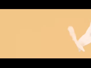 Cat cancan, zhaobangni