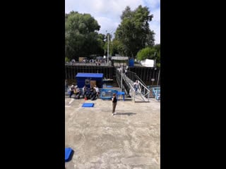 Porno yangiliklar boshlovchilari Syuzanni qoyib yuborishdi