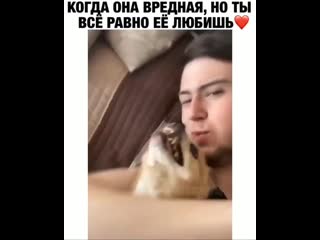 Отправляй любимой вредене 😁