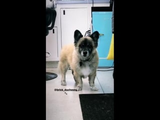 Brick on the set xfiles