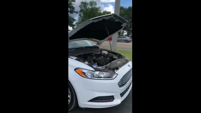 Спасение котейки