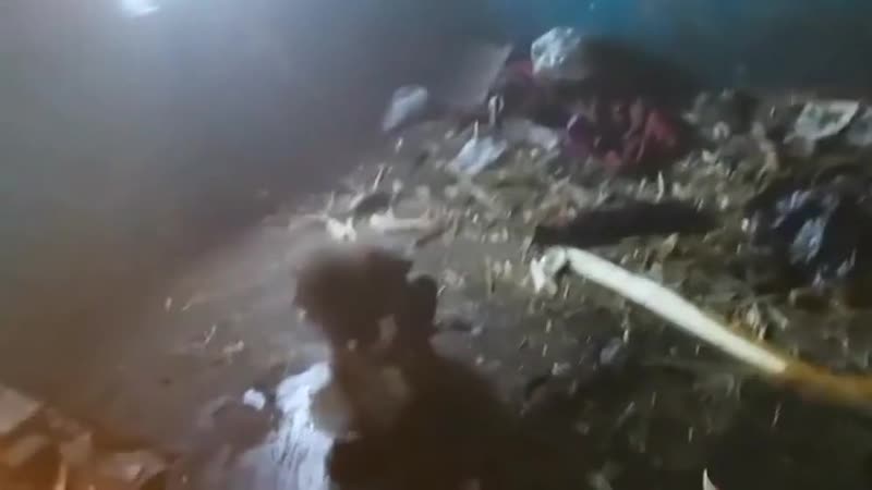 Заброшенные молодые в заброшенном доме