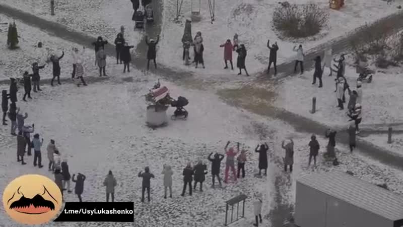 Тры чарапахі