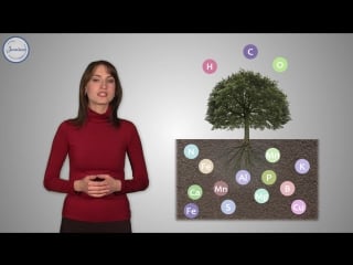 19 биология 6 кл удобрения