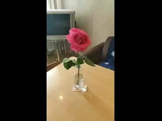 Гости уехали, приятная неожиданность