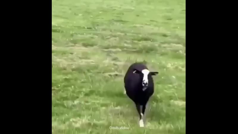 Камеру убрал