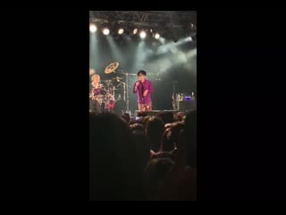 Dadorama resumen one man live welcome to dadorama