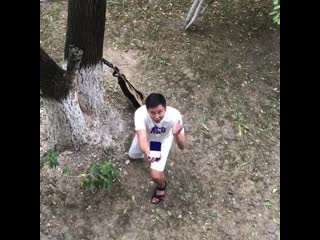 Серенада