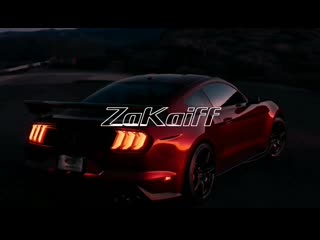 Shami & yngluv & sammy walk it