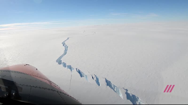 От антарктиды откололся айсберг размером с петербург