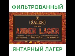 Salek amber lager